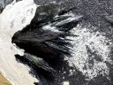 Керченит со сростками вивианита и псиломеланом в ископаемой раковине Фото 3